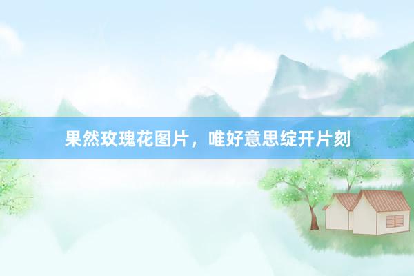 果然玫瑰花图片，唯好意思绽开片刻